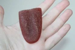 ForensicFX Studios Severed Tongue Prop><noscript><img width=