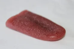 ForensicFX Studios Severed Tongue Prop><noscript><img width=