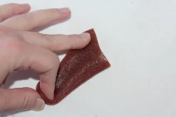 ForensicFX Studios Severed Tongue Prop><noscript><img width=