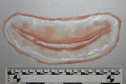 ForensicFX Studios Simple Slit Throat Prosthetic><noscript><img width=