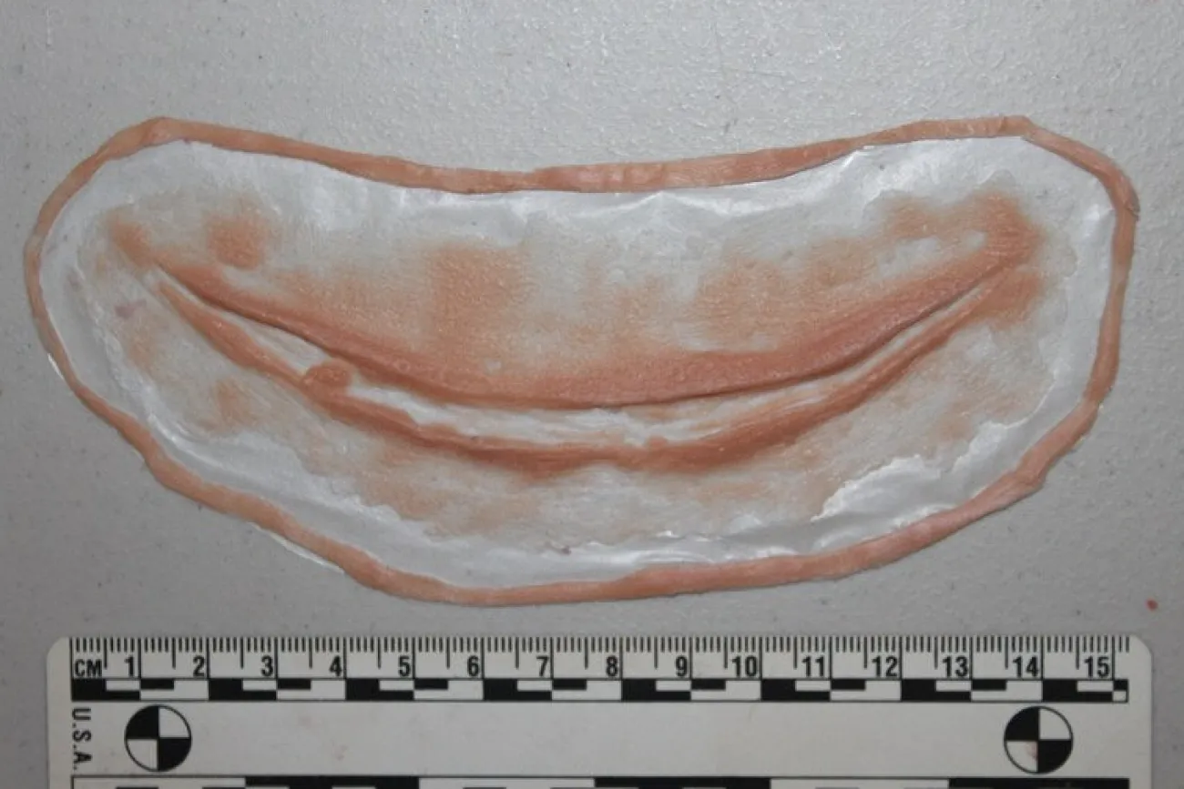 ForensicFX Studios Simple Slit Throat Prosthetic> Halloween Accessories