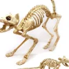 Joyin Skeleton Cat And Rat Set> Scary Skeletons
