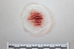 ForensicFX Studios Small Cuts Prosthetic> Halloween Accessories