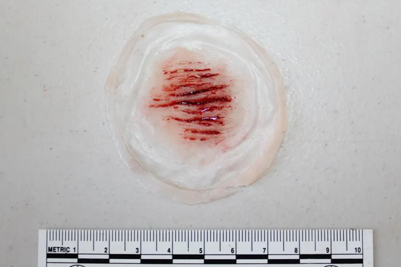 ForensicFX Studios Small Cuts Prosthetic> Halloween Accessories