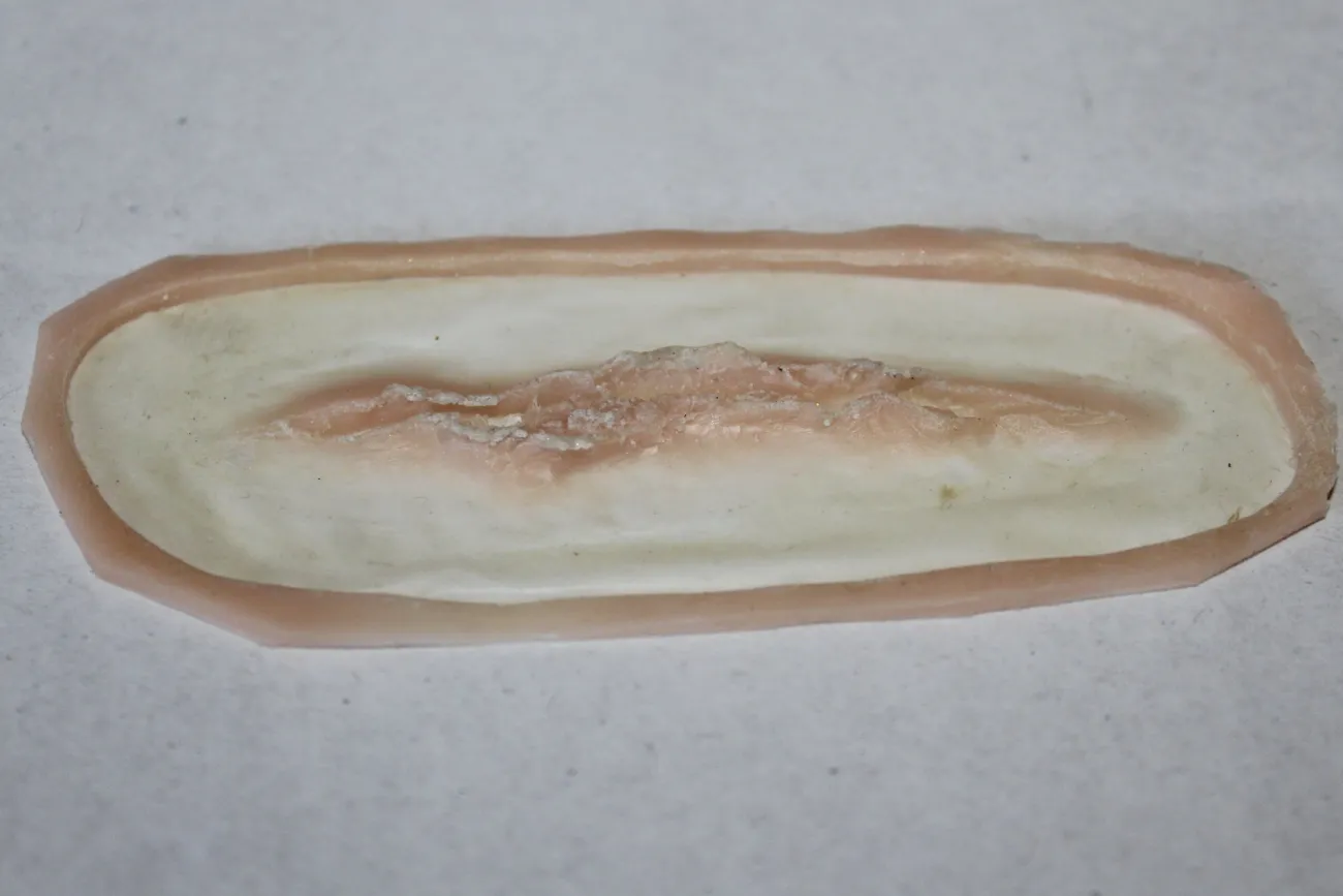 ForensicFX Studios Small Linear Gash Prosthetic> Halloween Accessories