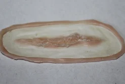 ForensicFX Studios Small Linear Gash Prosthetic><noscript><img width=