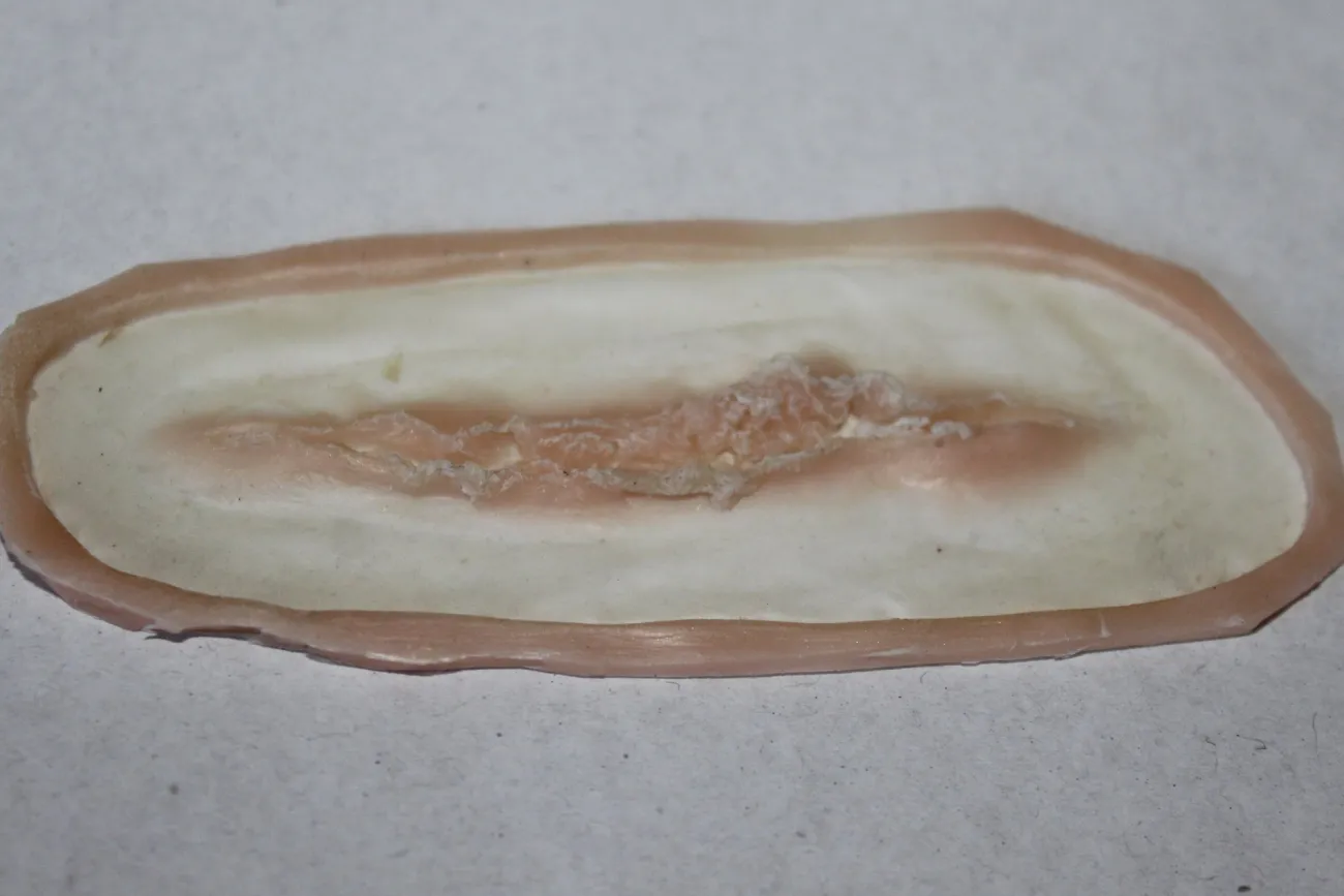 ForensicFX Studios Small Linear Gash Prosthetic> Halloween Accessories