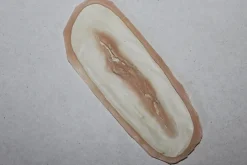 ForensicFX Studios Small Linear Gash Prosthetic><noscript><img width=