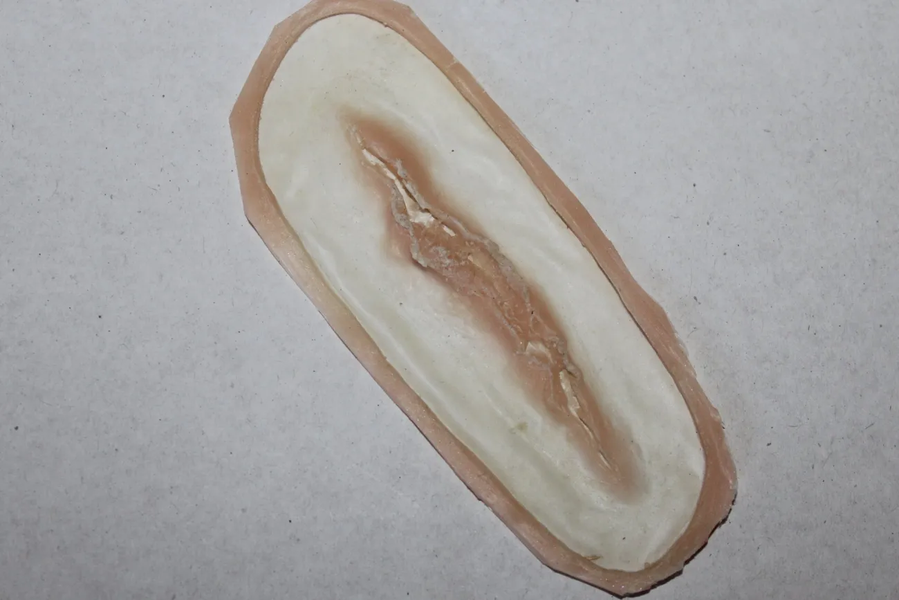 ForensicFX Studios Small Linear Gash Prosthetic> Halloween Accessories