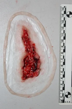 ForensicFX Studios Small Thigh Laceration Prosthetic></noscript> Halloween Accessories