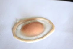 ForensicFX Studios Swollen Upper Eyelid Prostheitc></noscript> Halloween Accessories