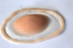 ForensicFX Studios Swollen Upper Eyelid Prostheitc></noscript> Halloween Accessories