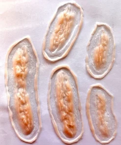 ForensicFX Studios 5X Slashed Cuts Bundle><noscript><img width=